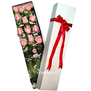 Fina caja de rosas importadas de primera selección larga duración(Incluye follajes y paniculata blanca de complemento extra).Consulte al Tel.562 222341793 por factibilidad provincia y el extranjero.